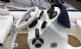 SEASPORT 360 DL