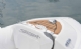 SEASPORT 360 DL