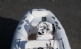  G340HGEF HYPALON 